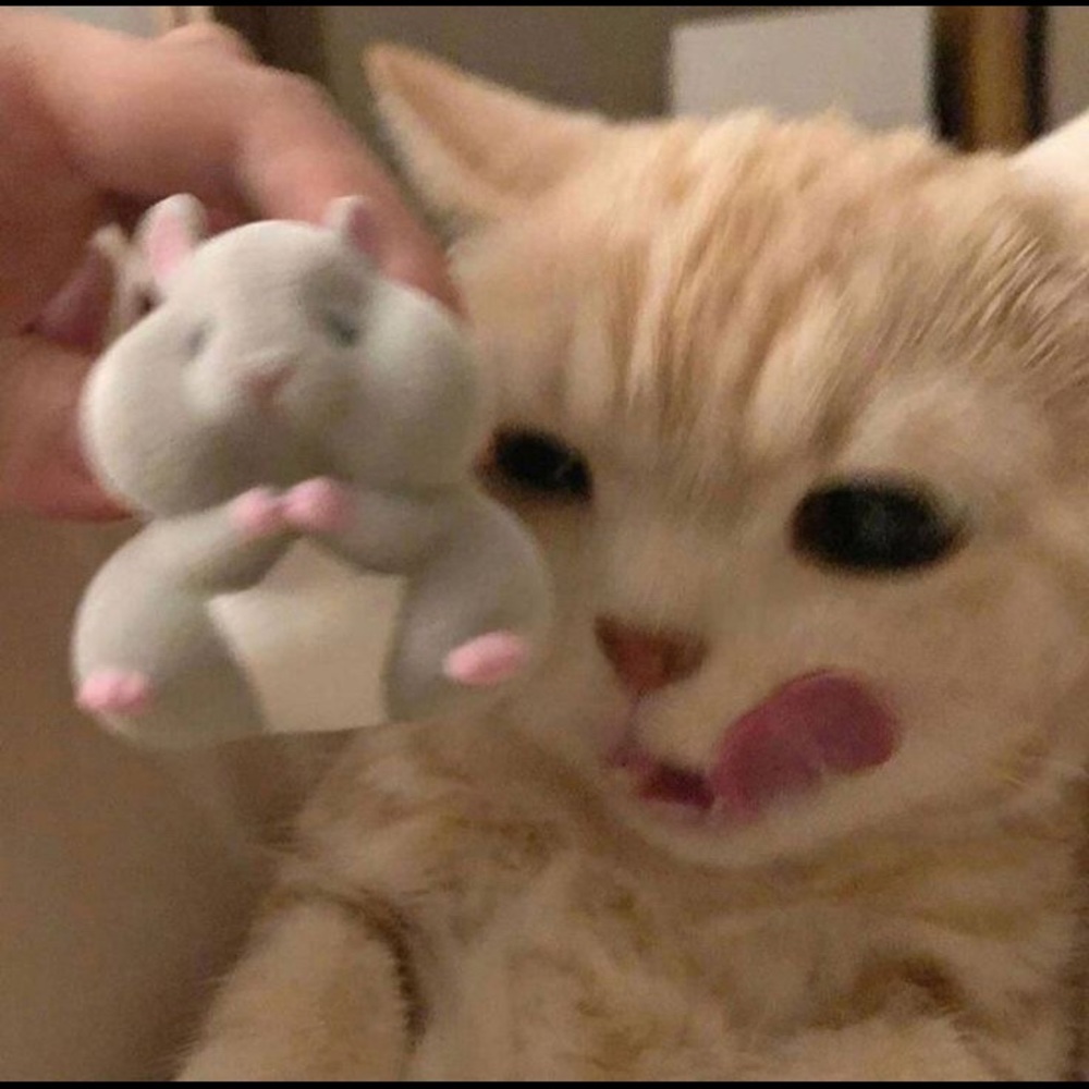 Meet your Posher, Karen